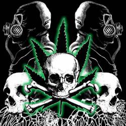 Ocultum : Tumba de Siglos